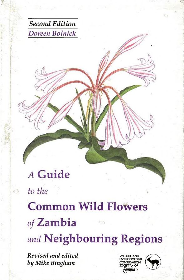 focus in