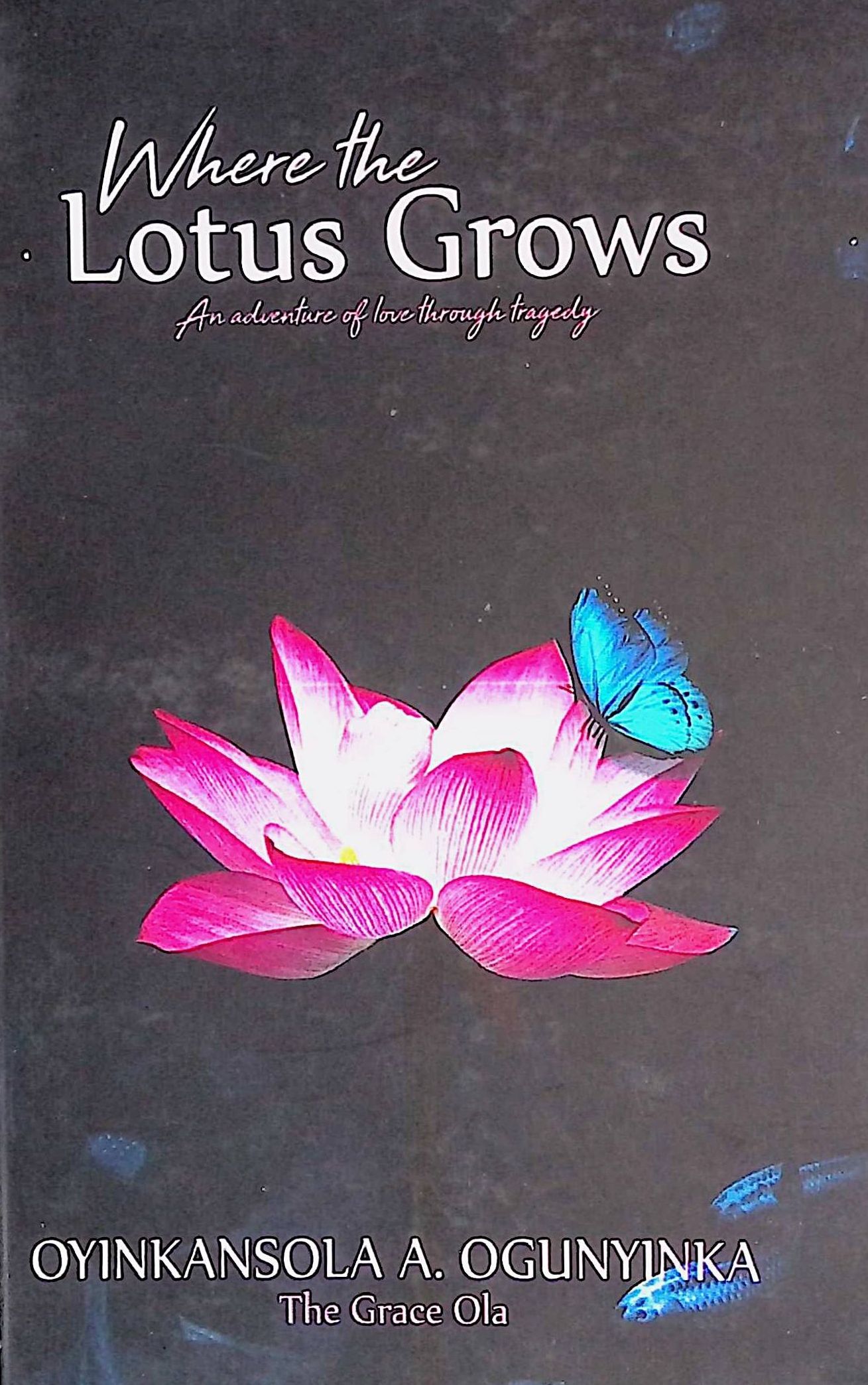focus in