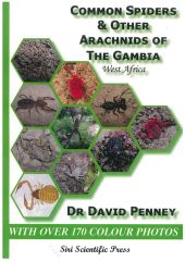 loading...