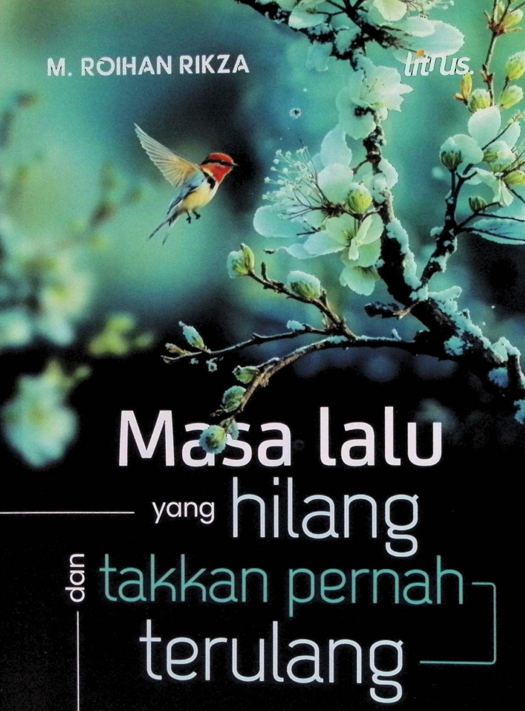 focus in